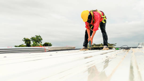 Best Roof Coating and Sealing  in Cheat Lake, WV